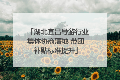 湖北宜昌导游行业集体协商落地 带团补贴标准提升