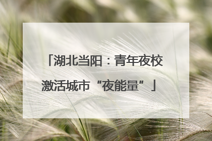 湖北当阳：青年夜校激活城市“夜能量”