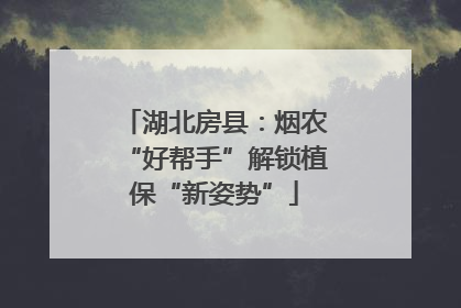 湖北房县：烟农“好帮手”解锁植保“新姿势”
