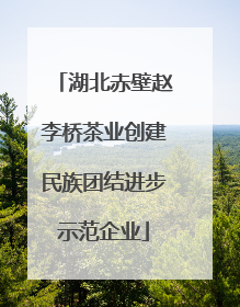 湖北赤壁赵李桥茶业创建民族团结进步示范企业
