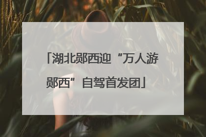 湖北郧西迎“万人游郧西”自驾首发团
