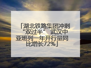 湖北铁路集团冲刺“双过半” 武汉中亚班列一年开行量同比增长72%