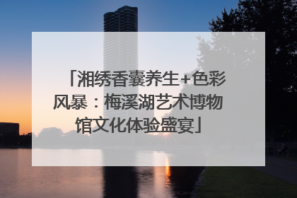 湘绣香囊养生+色彩风暴：梅溪湖艺术博物馆文化体验盛宴