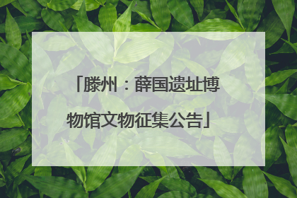 滕州：薛国遗址博物馆文物征集公告
