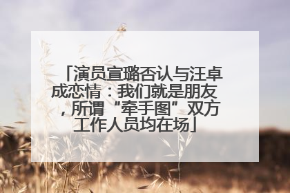 演员宣璐否认与汪卓成恋情：我们就是朋友，所谓“牵手图”双方工作人员均在场