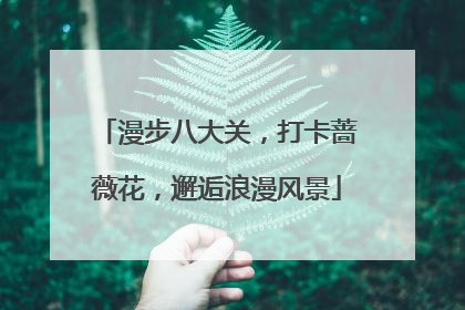 漫步八大关，打卡蔷薇花，邂逅浪漫风景