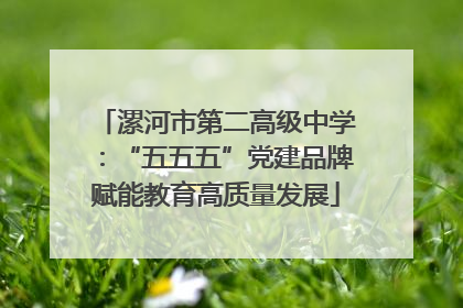 漯河市第二高级中学：“五五五”党建品牌赋能教育高质量发展