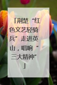 荆楚“红色文艺轻骑兵”走进英山，唱响“三大精神”