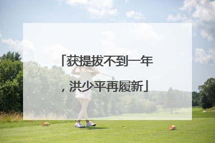 获提拔不到一年，洪少平再履新