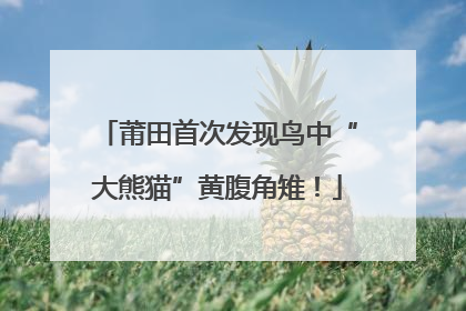 莆田首次发现鸟中“大熊猫”黄腹角雉！