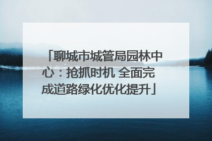 聊城市城管局园林中心：抢抓时机 全面完成道路绿化优化提升