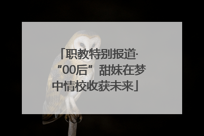 职教特别报道· “00后”甜妹在梦中情校收获未来