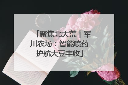 聚焦北大荒｜军川农场：智能喷药护航大豆丰收