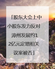 股东大会上中小股东发力反对 漳州发展约12亿元定增相关议案被否