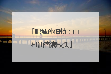 肥城孙伯镇：山村油杏满枝头