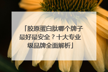 胶原蛋白肽哪个牌子最好最安全？十大专业级品牌全面解析