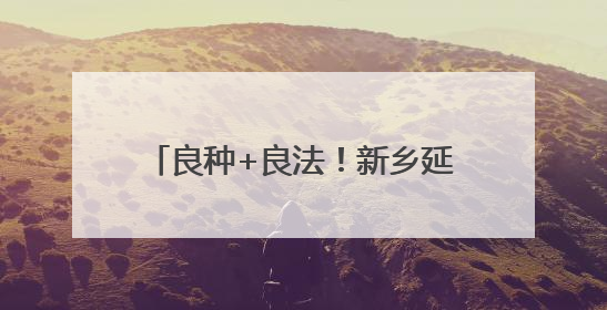 良种+良法！新乡延津县试验田小麦刷新黄淮麦区高产记录
