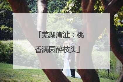 芜湖湾沚：桃香满园醉枝头