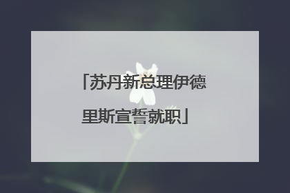苏丹新总理伊德里斯宣誓就职