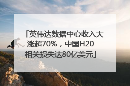 英伟达数据中心收入大涨超70%，中国H20相关损失达80亿美元