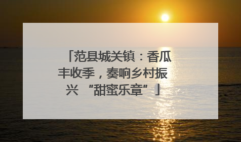 范县城关镇：香瓜丰收季，奏响乡村振兴 “甜蜜乐章”