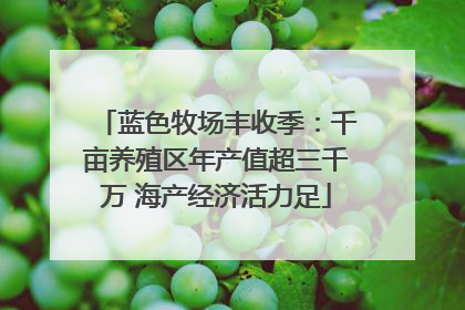 蓝色牧场丰收季：千亩养殖区年产值超三千万 海产经济活力足