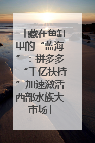 藏在鱼缸里的“蓝海”：拼多多“千亿扶持”加速激活西部水族大市场