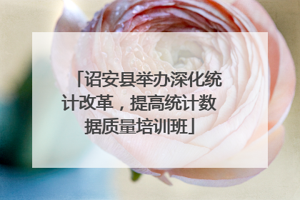 诏安县举办深化统计改革，提高统计数据质量培训班