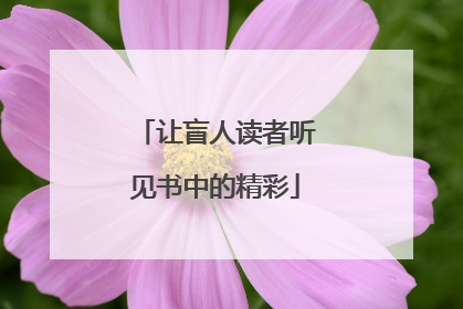 让盲人读者听见书中的精彩