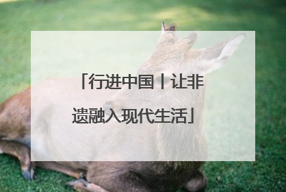 行进中国丨让非遗融入现代生活