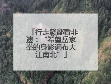 行走赣鄱看非遗：“希望岳家拳的身影遍布大江南北”