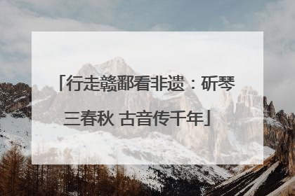 行走赣鄱看非遗：斫琴三春秋 古音传千年
