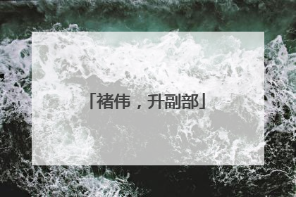 褚伟，升副部