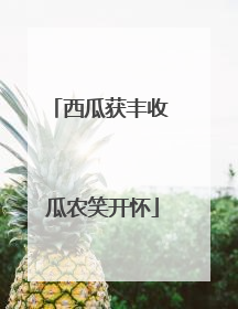西瓜获丰收 瓜农笑开怀