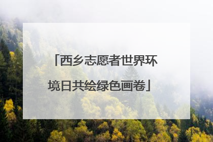 西乡志愿者世界环境日共绘绿色画卷
