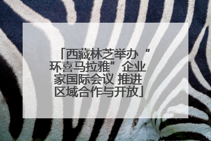 西藏林芝举办“环喜马拉雅”企业家国际会议 推进区域合作与开放