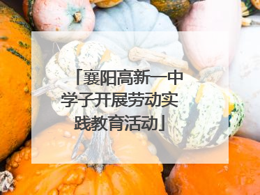 襄阳高新一中学子开展劳动实践教育活动