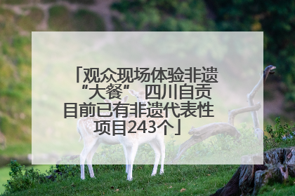 观众现场体验非遗“大餐” 四川自贡目前已有非遗代表性项目243个