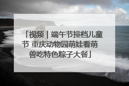 视频｜端午节撞档儿童节 重庆动物园萌娃看萌兽吃特色粽子大餐