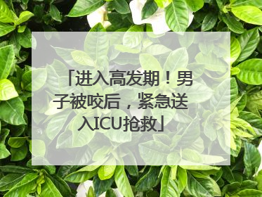 进入高发期！男子被咬后，紧急送入ICU抢救