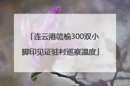 连云港赣榆300双小脚印见证驻村巡察温度