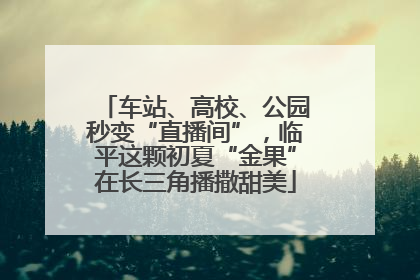 车站、高校、公园秒变“直播间”，临平这颗初夏“金果”在长三角播撒甜美