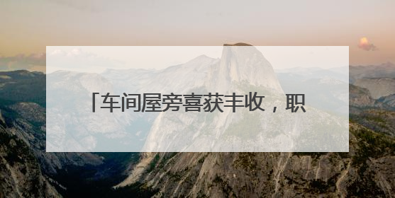 车间屋旁喜获丰收，职工种出“幸福餐桌”