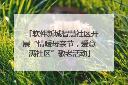 软件新城智慧社区开展“情暖母亲节，爱意满社区”敬老活动