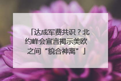 达成军费共识？北约峰会宣言揭示美欧之间“貌合神离”