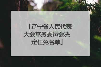 辽宁省人民代表大会常务委员会决定任免名单