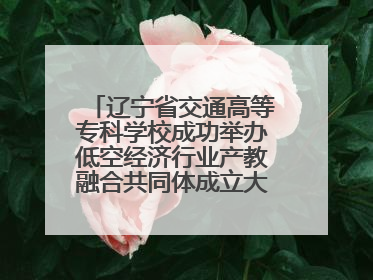辽宁省交通高等专科学校成功举办低空经济行业产教融合共同体成立大会暨共建低空经济产教融合新生态论坛