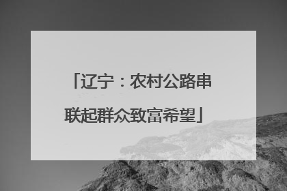 辽宁：农村公路串联起群众致富希望