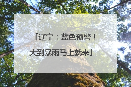 辽宁：蓝色预警！大到暴雨马上就来