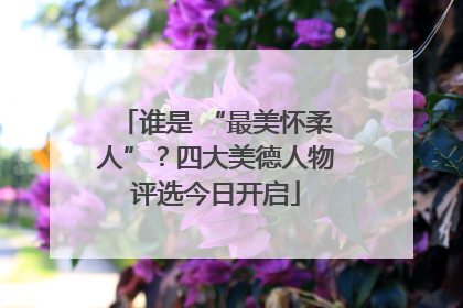 谁是 “最美怀柔人”？四大美德人物评选今日开启